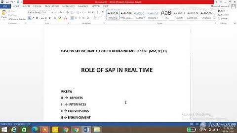 SAP RICEFW OBJECT OVERVIEW AND FUNCTION