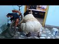 Cycle Aunty Daily House Cleaning Vlog 31 Cycle Aunty Daily House Cleaning Vlog 31