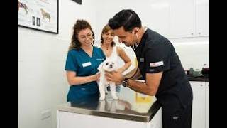 Kabhi Khushi Kabhie Gham   Movie  Shah Rukh Khan Kajol Hrithik  K3g  Karan Johar Film