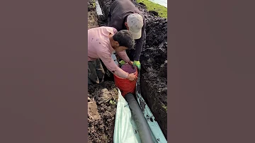 Вам нужен дренаж участка если: