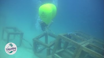 Constructing an Artificial Reef