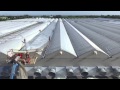 THIS is How to Change Greenhouse Plastic (no audio)