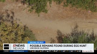 Possible human remains found during Easter egg hunt Net Worth