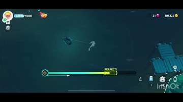 Wolf Eel in Alaska…Creatures of the Deep