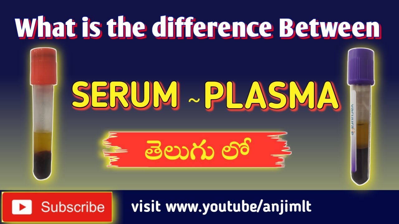 What is the difference between Serum& Plasma | What is the serum | What ...