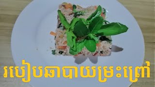 How to Friy Rice With Meat របៀបឆាបាយសាច់គោម្រះព្រៅ