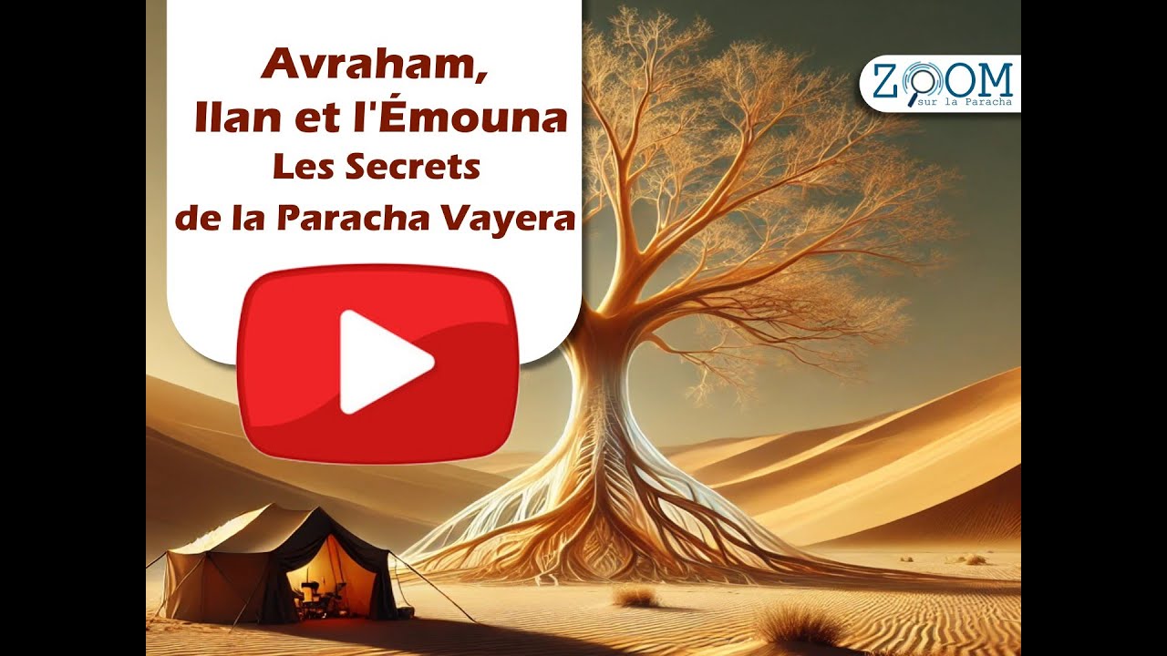 YouTube player