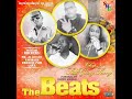 08guzara huwa  awinash the beats vol 5