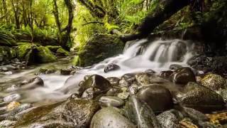 K453T MENGGAPAI MIMPI