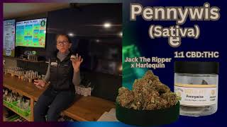 Well Lit - Pennywise Has Arrived!