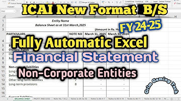 Non Corporate New Format Financial Statement Excel Full Automatic as per ICAI FY 24-25 Balance Sheet