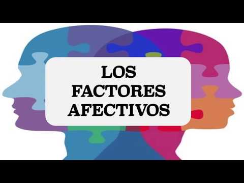 Taller 2: Presentación