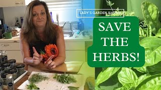 How to Harvest and  Preserve Herbs | 3 BEST Ways to Preserve Herbs!