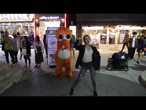 JHKTV] 홍대명물고양이 케이팝댄스스넾핑 hong dae k pop dance special cat <strong>snapping</strong>