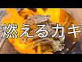 【飯テロ】アル中が燃える海鮮焼きを作ってみた(アル中カラカラ)