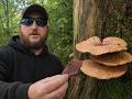 MUSHROOM JERKY!!!!!!!!