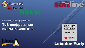 TLS-шифрование NGINX в CentOS 8
