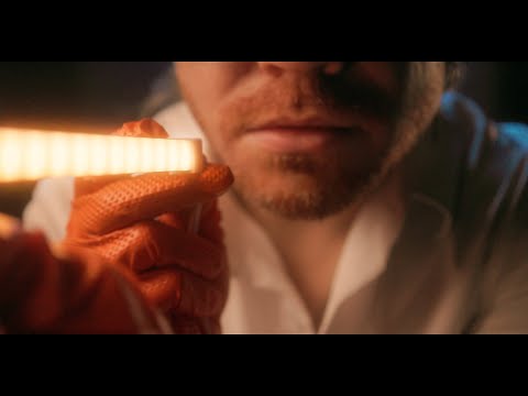 (ASMR) Face Examination