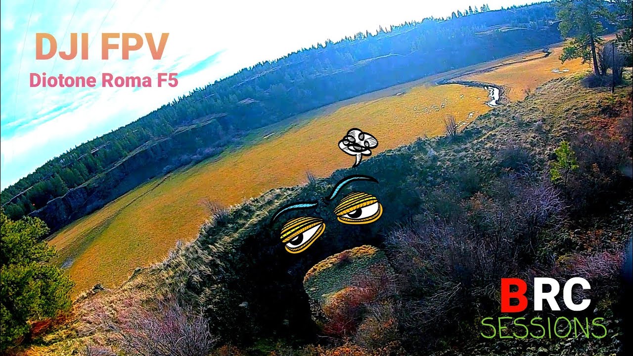 DJI FPV/ DIOTONE ROMA F5 # HOLE IN THE GROUND