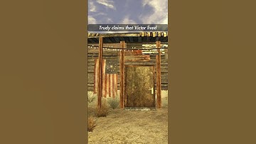 The Mysterious Cowpoke Robot Fallout Lore #shorts