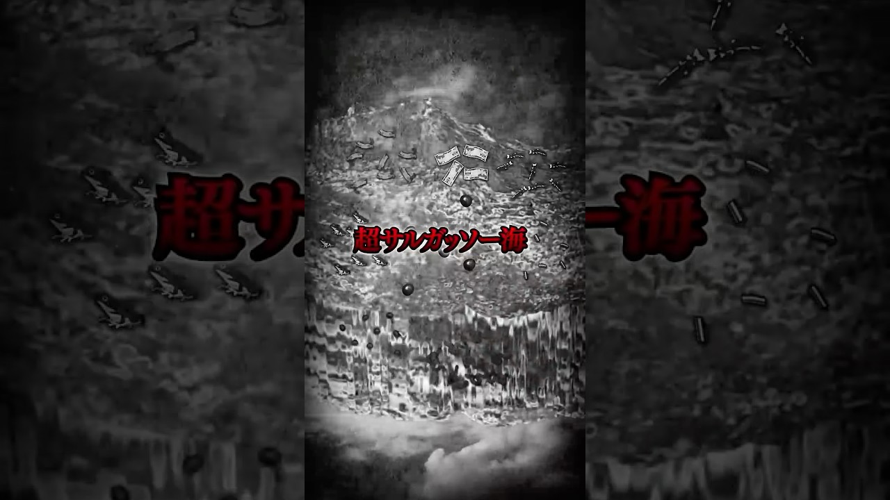 あなたは空から“魚”が降ってくる理由を知ってますか? #shorts
