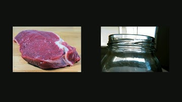 Scientific Method and experimental design video