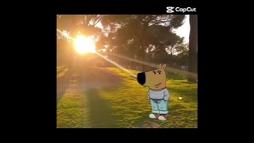 Is chill guy right? #memes #capcut #funny #usingcapcut