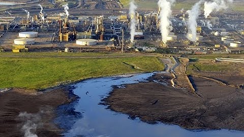 The Impact of Oil Sands Mining on Ocean Ecosystems