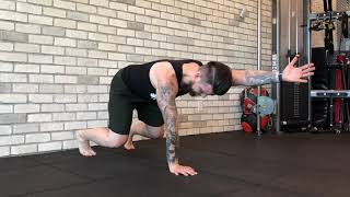 Sprawl Plank with Alternating Reach
