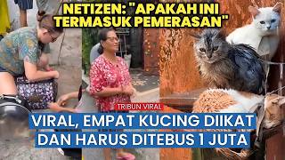 Heboh! Empat Kucing Diikat di Depan Rumah Warga Gianyar, Diduga Diminta Tebusan hingga Rp1 Juta