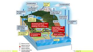 APES Unit 1.7: The Water Cycle