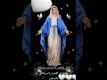 شفاعتك يا ام النور لنا اجمعين امين شفاعتك يا ام النور لنا اجمعين امين