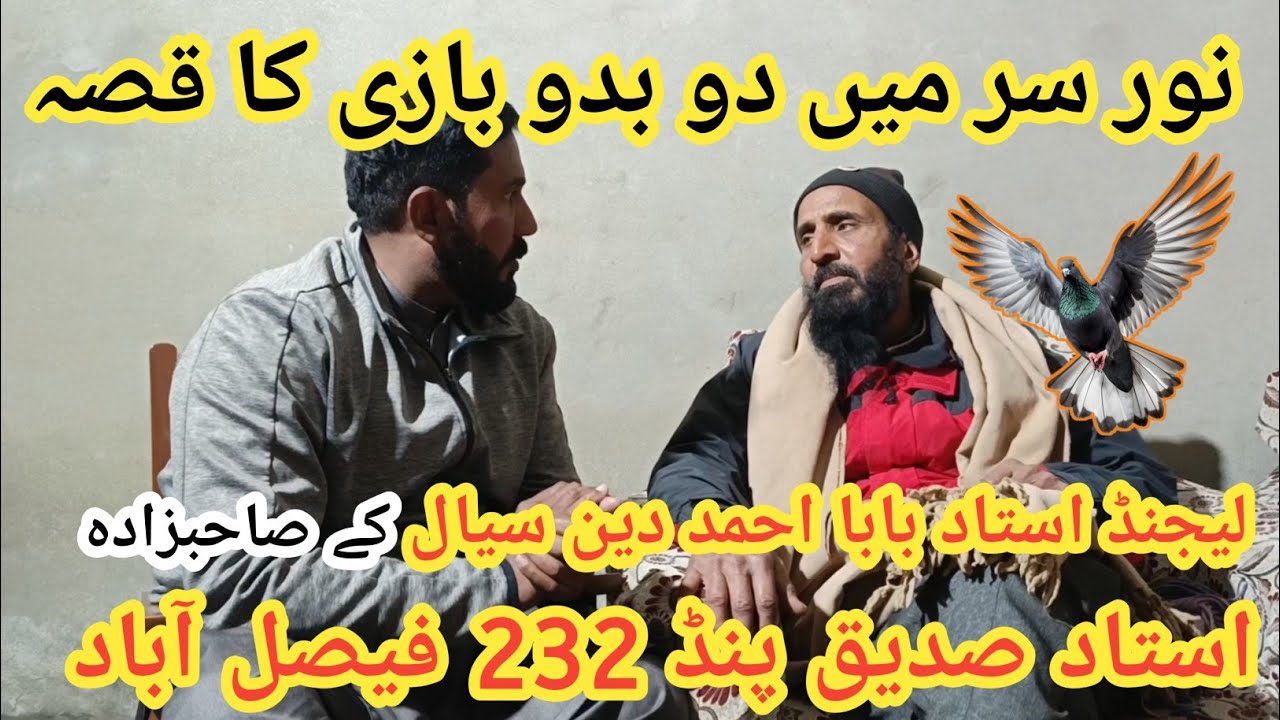 IK SHOK KABUTAR BAZI DA INTERVIEW|| USTAD SADIQUE SAHIBZADA LEGEND USTAD BABA AHMAD SIAL PIND 232