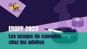 Enquête EROPP : la consommation de cannabis en France