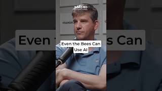 How Beewise Uses AI to Save Bees in Real Time — Saar Safra