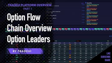 Option Flow, Chain Overview and Option Leaders - TradeUI Platform Overview Part 1