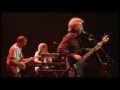 Camel - Squigely Fair