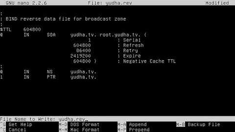 Setting DNS Dan Web Server Vmware