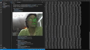 TEST : Facial landmarks detection using MediaPipe Face Mesh library.