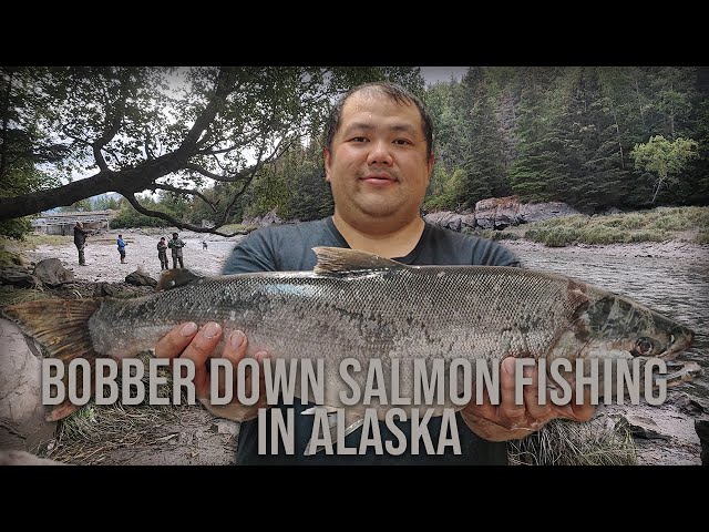 BOBBER DOWN SALMON FISHING IN ALASKA 