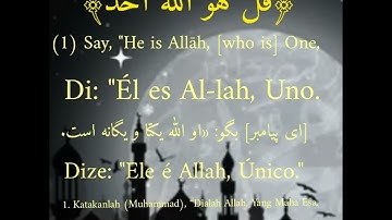 تلاوة رائعة مؤثرة جديدة من سورة الإخلاص بصوت القارئ حمزة بوديب🌿❤💖