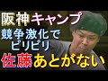 阪神キャンプはピリピリムード 佐藤は勝負の3年目 2023年1月28日