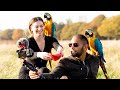 Mikey Meets A Christmas Deer & Mia Takes A New Macaw To The Skies || Free Flying in Richmond Park