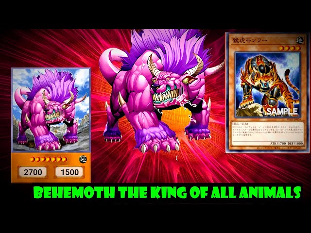 yugioh animal cards Amazon.com: YU-GI-OH! - Chain Dog (BP03-EN080) - Battle Pack 3: Monster  League - 1st Edition main image 1