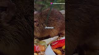 3 Common Misconceptions You’ve Always Believed – Explained!