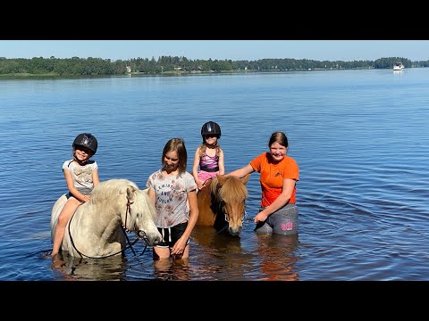 Video: Kuinka Avata Oma Lastekauppa