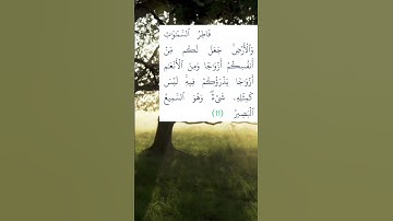 سورة الشورى - الآية 11 #الله #ayat #qran #آية #indonesia #instagram #allah #قرآن #القرآن