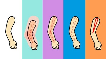 5 EASY Moho Ways to Connect Bones (Most Beginners Get Wrong)