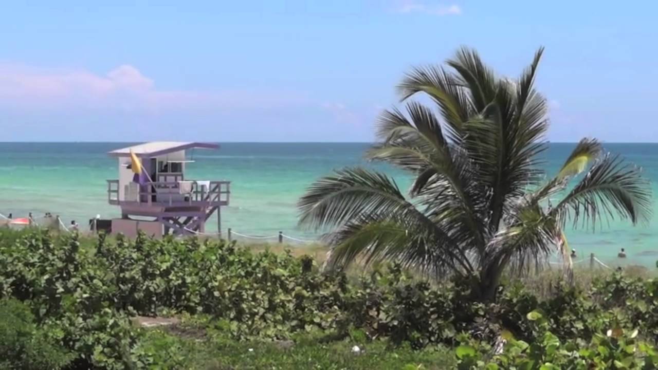 Dimitri Bruev - Can You Feel It (Promo Video)