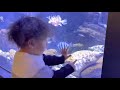 初めての水族館🐠に興奮してる😆